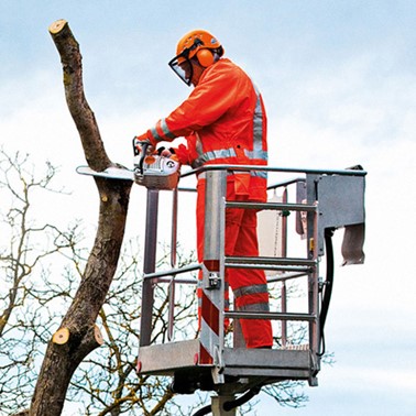 Pilarka spalinowa STIHL MS 201 TC-M