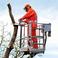 Pilarka spalinowa STIHL MS 201 TC-M